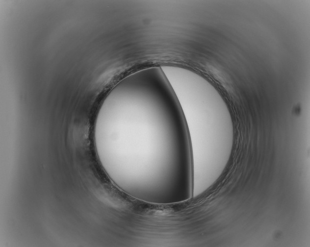 X0000091070548200708061025