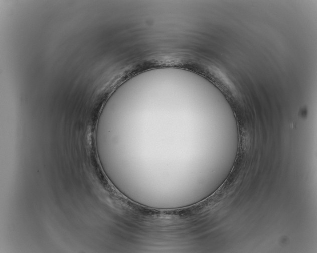 X0000091070549200708061025