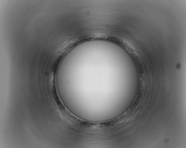 X0000091070550200708061025