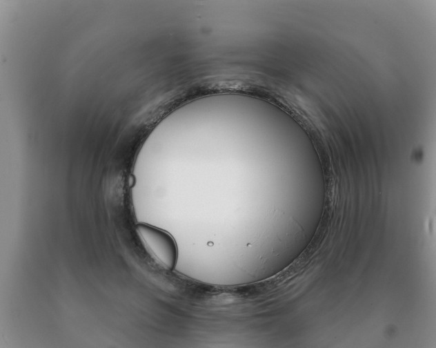 X0000091070551200708061025