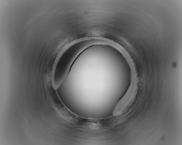 X0000091070552200708061025