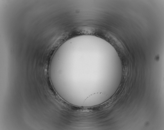 X0000091070553200708061025
