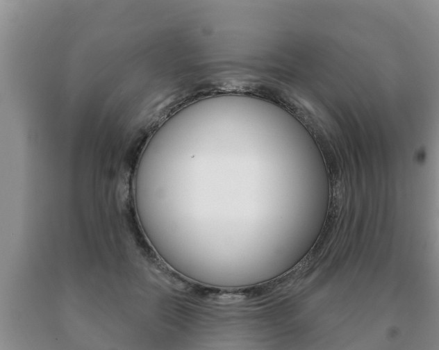 X0000091070554200708061025