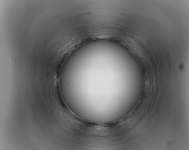 X0000091070555200708061025