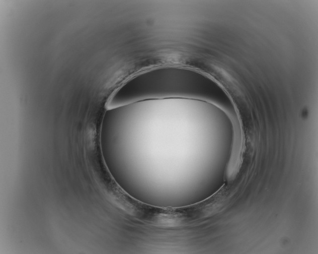 X0000091070556200708061025