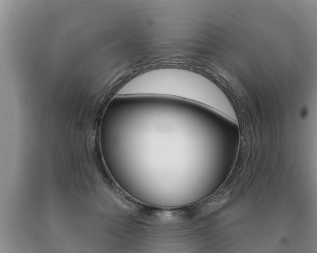 X0000091070558200708061025