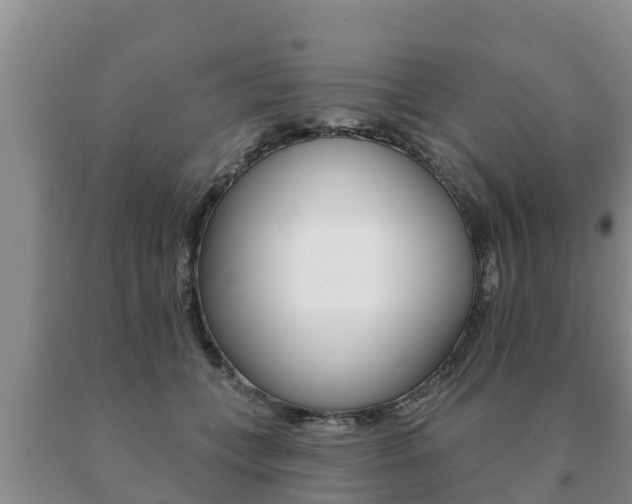 X0000091070559200708061025