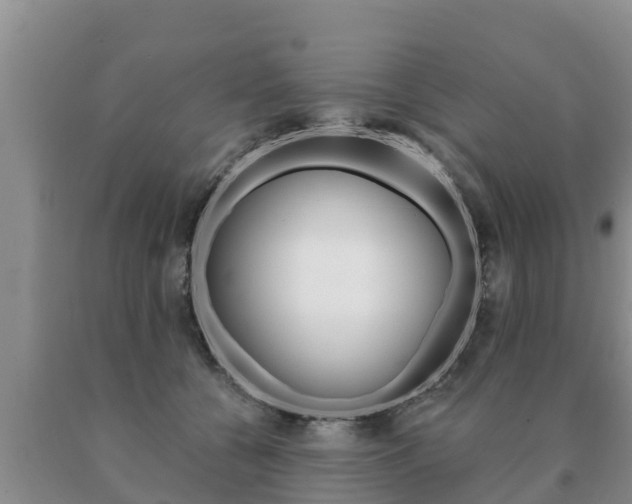 X0000091070560200708061025