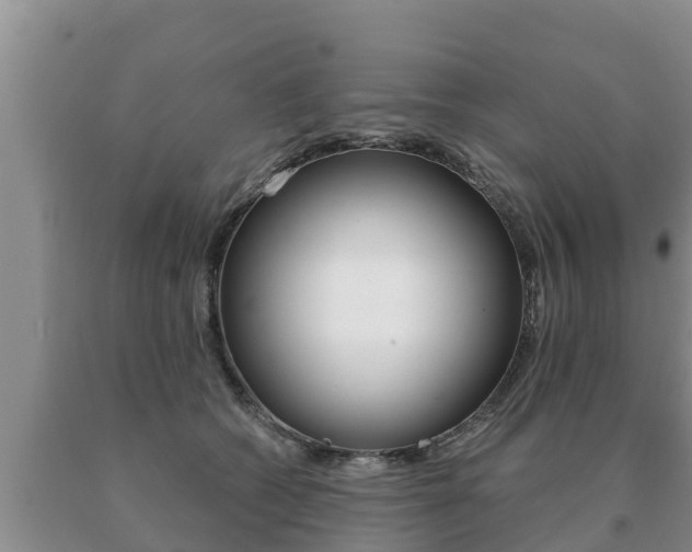 X0000091070562200708061025