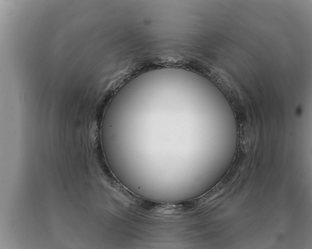 X0000091070563200708061025