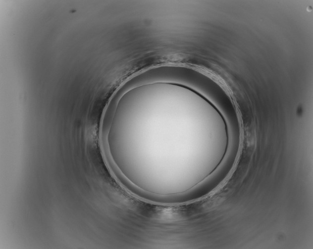 X0000091070564200708061025