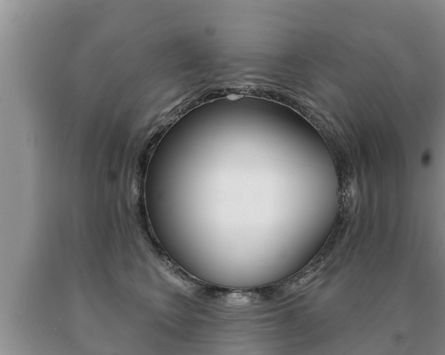 X0000091070566200708061025