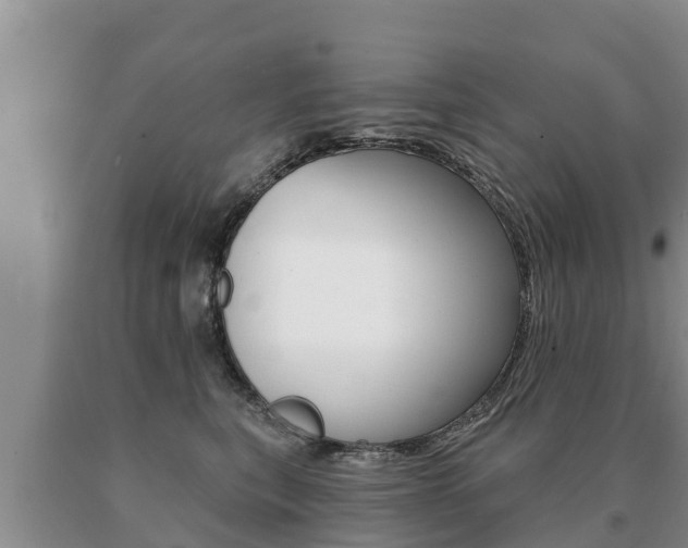 X0000091070567200708061025