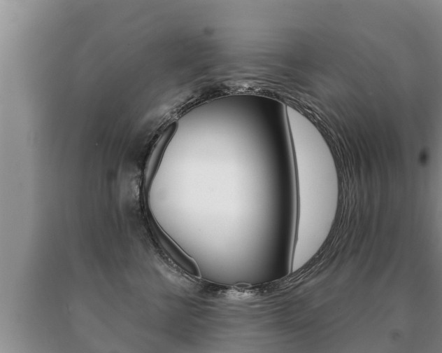 X0000091070570200708061025