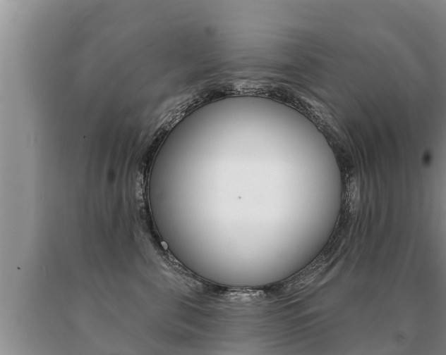 X0000091070571200708061025