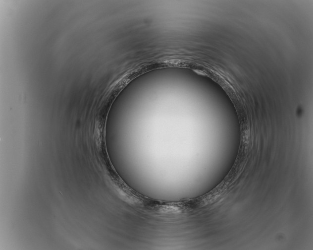 X0000091070572200708061025
