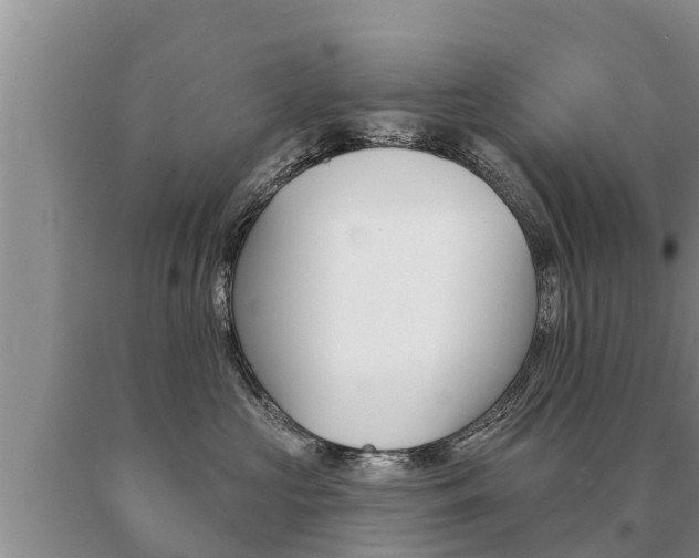 X0000091070573200708061025