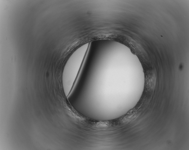 X0000091070574200708061025