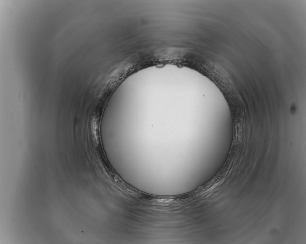 X0000091070575200708061025