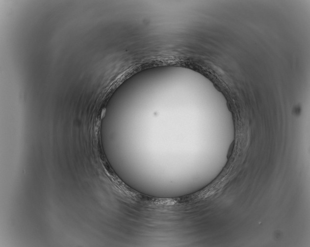 X0000091070576200708061025