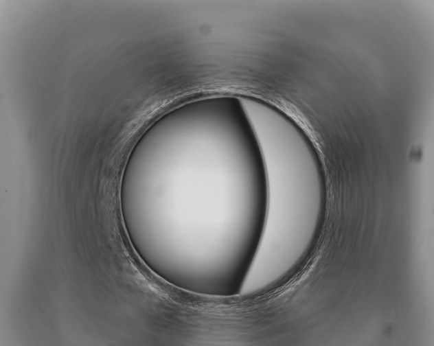 X0000091070577200708061025