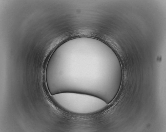 X0000091070578200708061025