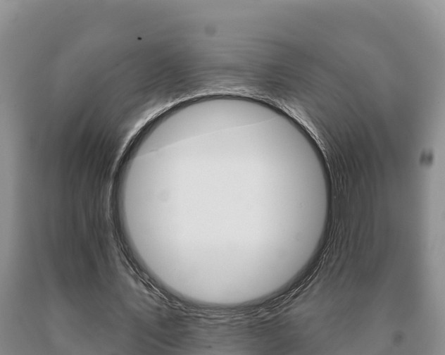 X0000091070579200708061025