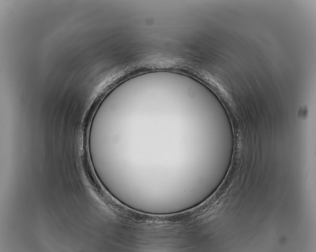 X0000091070582200708061025
