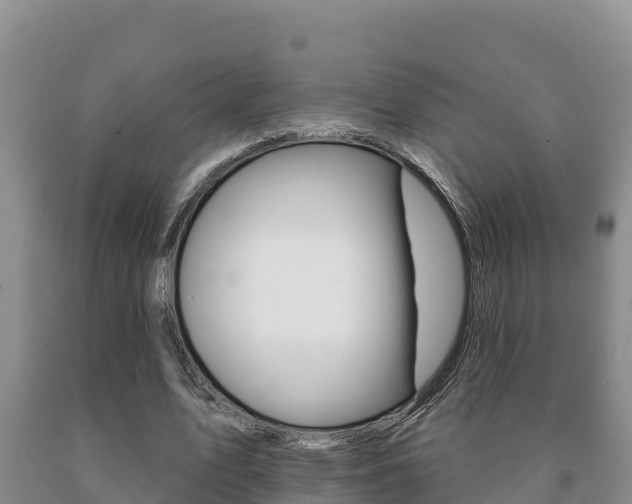 X0000091070583200708061025