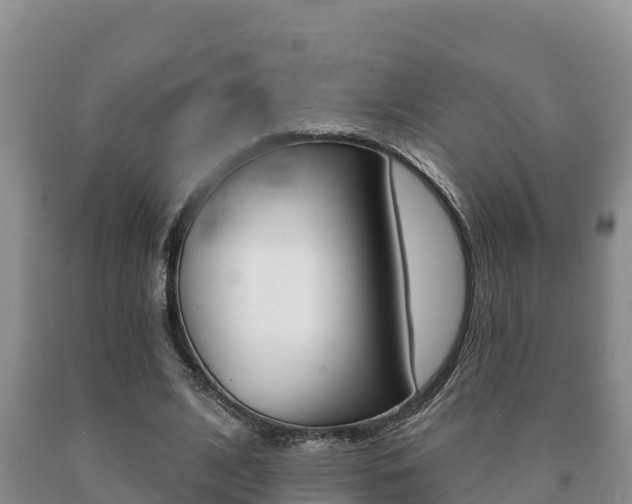 X0000091070584200708061025