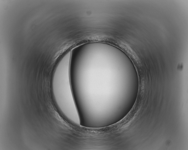 X0000091070585200708061025