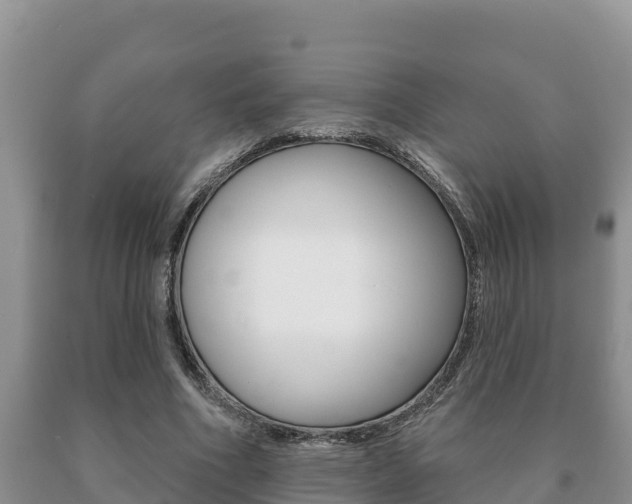 X0000091070586200708061025