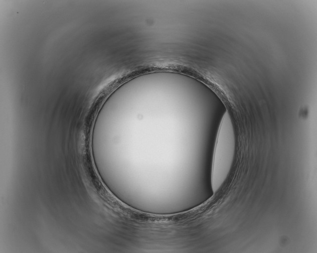 X0000091070587200708061024