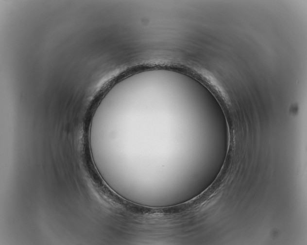 X0000091070588200708061024