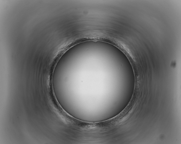 X0000091070589200708061024