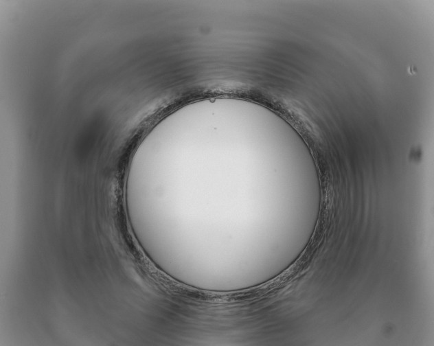 X0000091070591200708061024