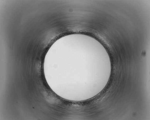 X0000091070592200708061024