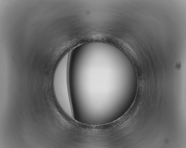 X0000091070593200708061024