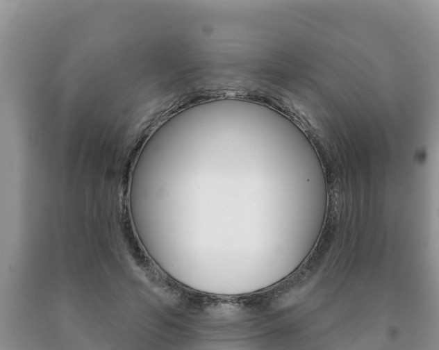 X0000091070594200708061024