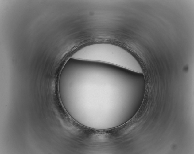 X0000091070595200708061024