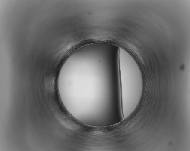 X0000091070596200708061024