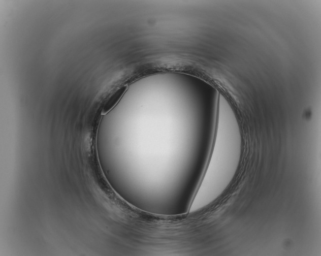 X0000091070597200708061024