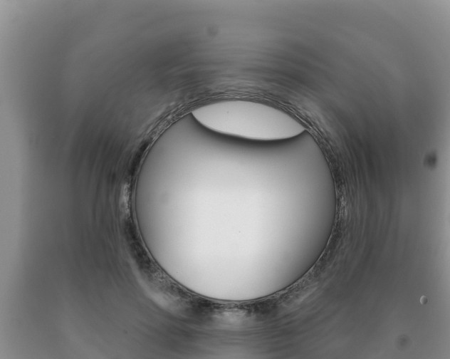 X0000091070598200708061024