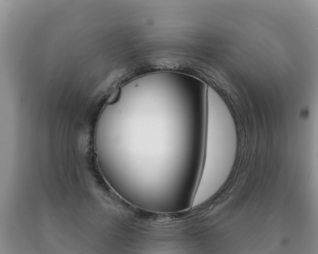 X0000091070600200708061024