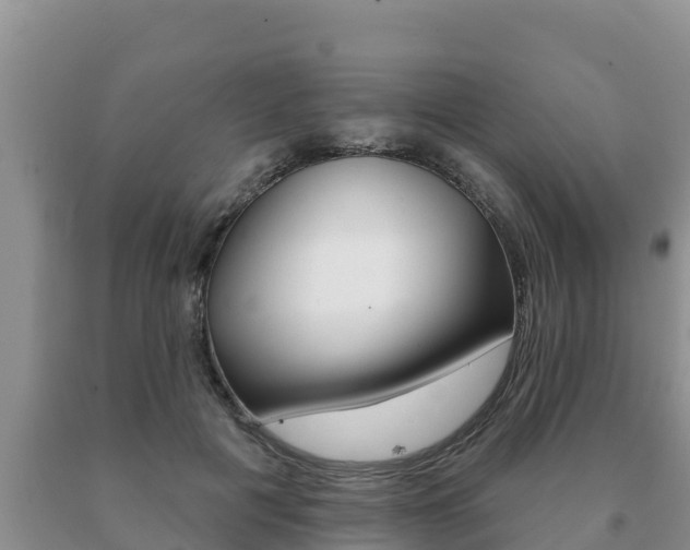 X0000091070601200708061024