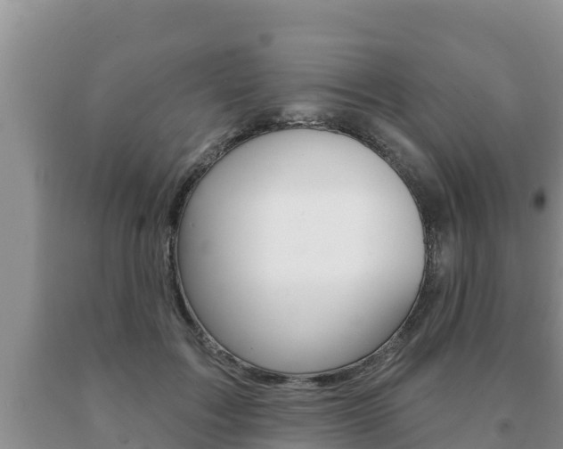 X0000091070603200708061024