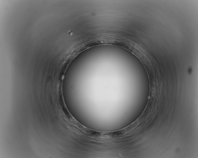 X0000091070604200708061024