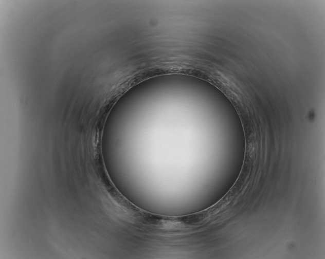 X0000091070605200708061024