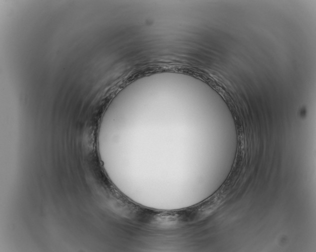 X0000091070606200708061024