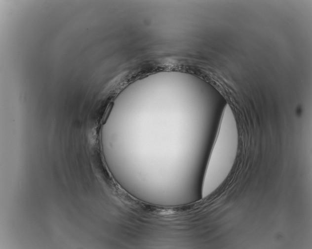 X0000091070611200708061024